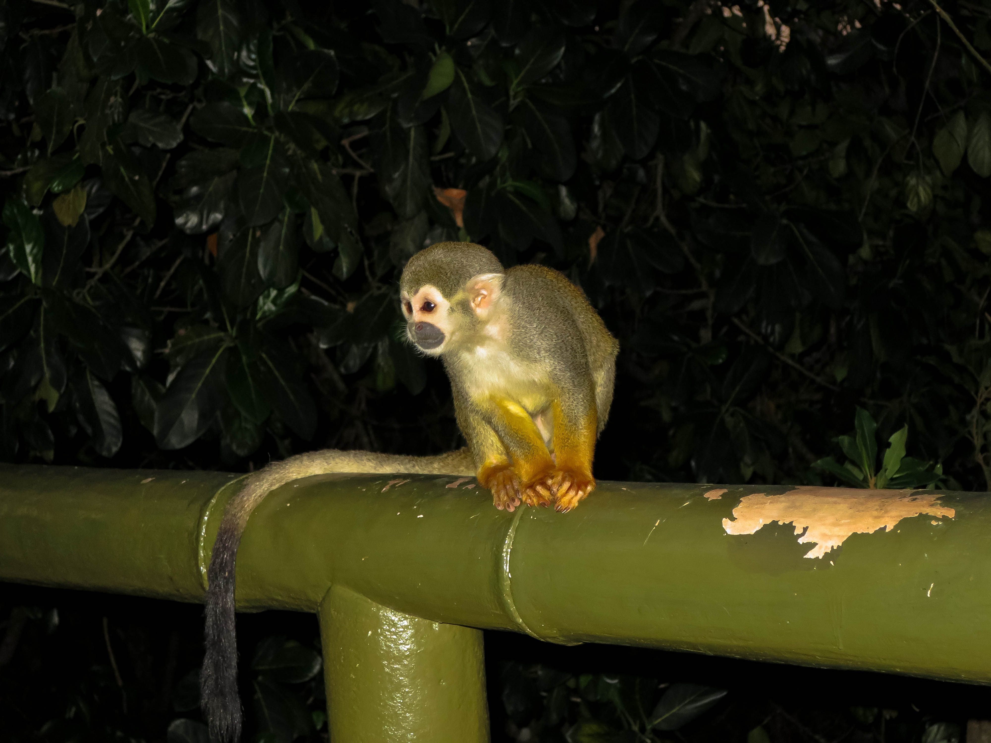 Visit Rio de Janeiro: A Photo Essay